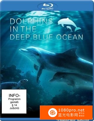 [2009][德国][深蓝色海洋里的海豚][纯音乐风光欣赏片][1080P-4.41G][MKV]AC3-1.jpg