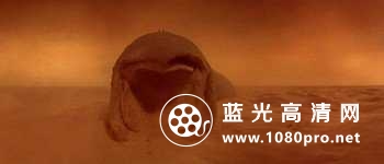 沙丘 Dune.1984.Extended.1080p.BluRay.AC3.x264-ETRG 5.46GB-13.jpg