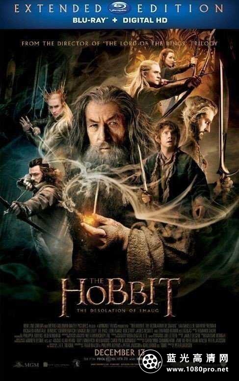 霍比特人2 The.Hobbit.2013.EXTENDED.1080p.BluRay.x264.DTS-FGT 18.83GB-1.jpg