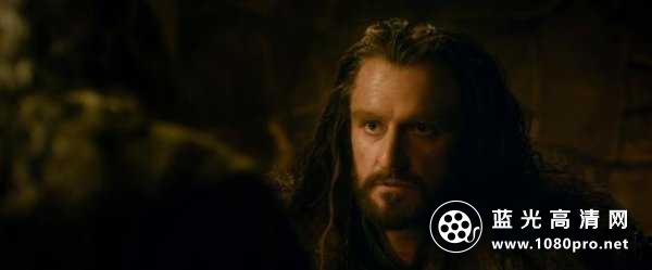 霍比特人2 The.Hobbit.2013.EXTENDED.1080p.BluRay.x264.DTS-FGT 18.83GB-2.jpg