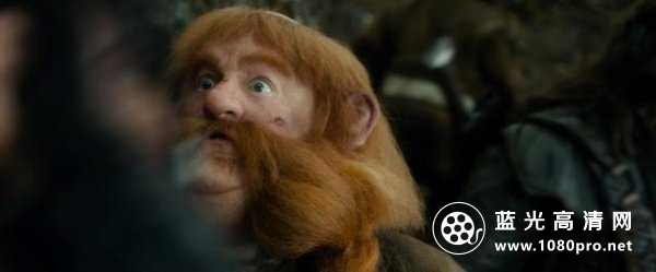 霍比特人2 The.Hobbit.2013.EXTENDED.1080p.BluRay.x264.DTS-FGT 18.83GB-3.jpg