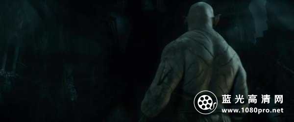 霍比特人2 The.Hobbit.2013.EXTENDED.1080p.BluRay.x264.DTS-FGT 18.83GB-4.jpg