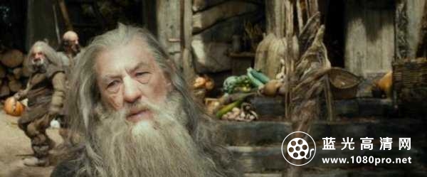 霍比特人2 The.Hobbit.2013.EXTENDED.1080p.BluRay.x264.DTS-FGT 18.83GB-5.jpg