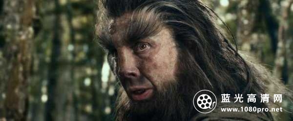 霍比特人2 The.Hobbit.2013.EXTENDED.1080p.BluRay.x264.DTS-FGT 18.83GB-6.jpg