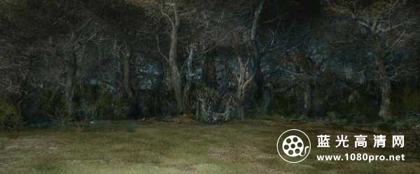 霍比特人2 The.Hobbit.2013.EXTENDED.1080p.BluRay.x264.DTS-FGT 18.83GB-7.jpg