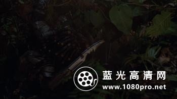 铁血战士/终极战士/掠夺者 Predator.1987.1080p.BluRay.DTS-HD.MA.5.1.x264-PublicHD 12.52G-2.jpg
