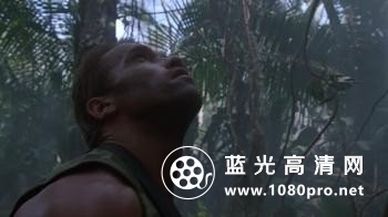 铁血战士/终极战士/掠夺者 Predator.1987.1080p.BluRay.DTS-HD.MA.5.1.x264-PublicHD 12.52G-6.jpg