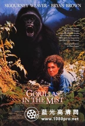 迷雾中的大猩猩 Gorillas.in.the.Mist.The.Story.of.Dian.1988.1080p.BluRay.X264-AMIABLE 10-1.jpg