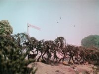 柳林风声 The.Wind.in.the.Willows.1983.RESTORED.EDiTiON.1080p.BluRay.x264-SONiDO 5.46GB-6.jpg