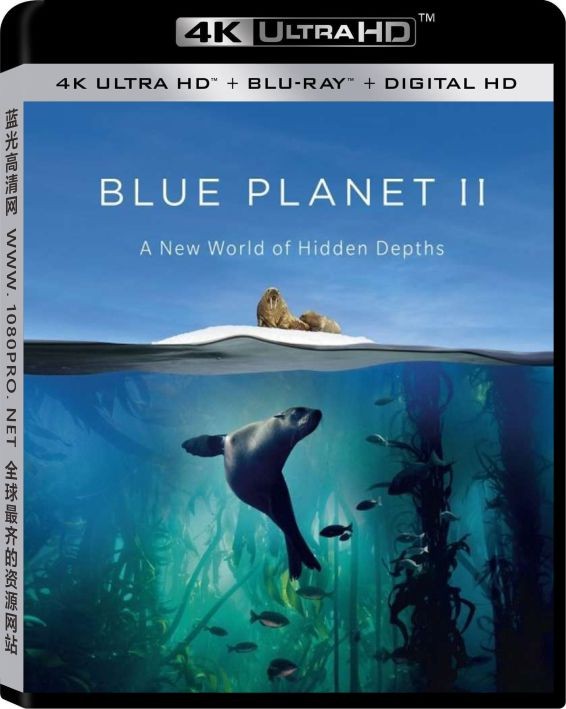 蓝色星球2/蓝色星球 第二季 Blue.Planet.II.Complete.2017.1080p.BluRay.x264.DTS-HD.MA.5.1-HDChina 47.5G ...