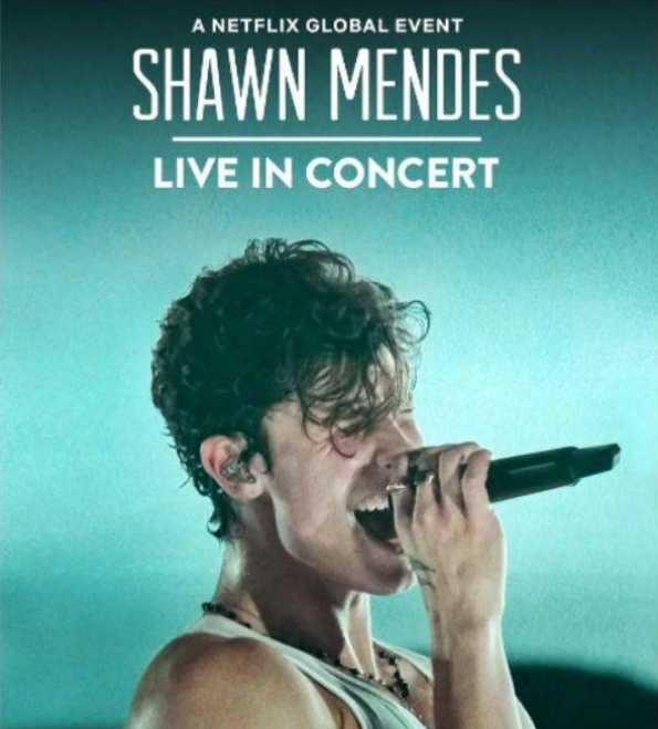 肖恩·门德斯：巡回演唱会纪实[中文字幕].Shawn.Mendes.Live.in.Concert.2020.2160p.NF.WEB-DL.x265.10bit. ...